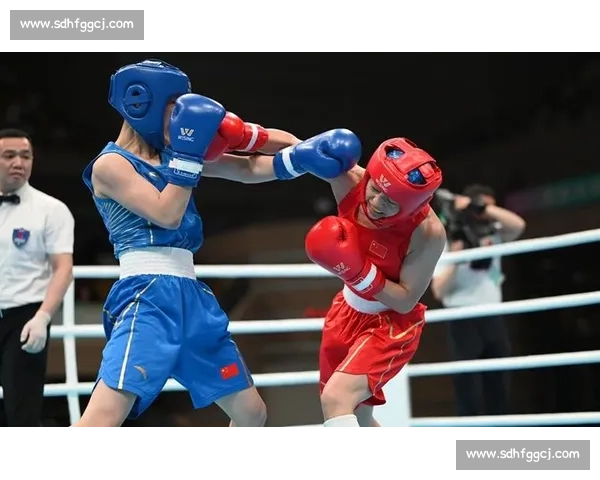 UFC与拳击的全面对决从规则体系到实战风格的深度解析与未来格斗格局演变